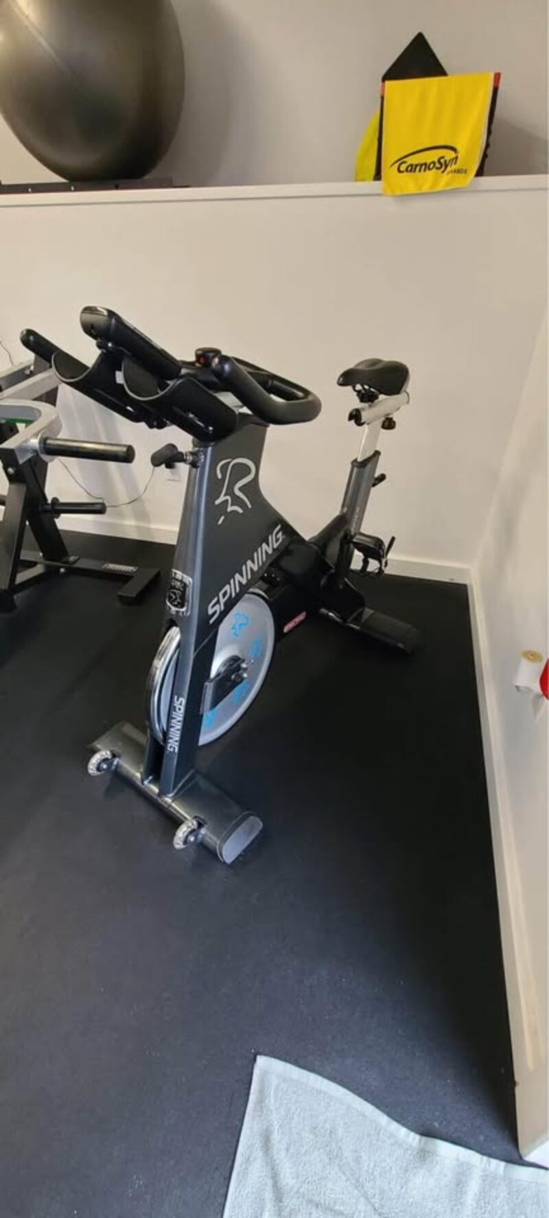 Recumbent Bike
