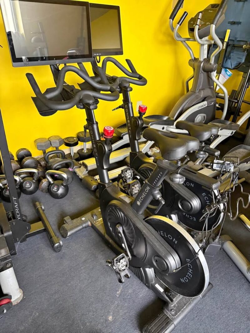Recumbent Bike